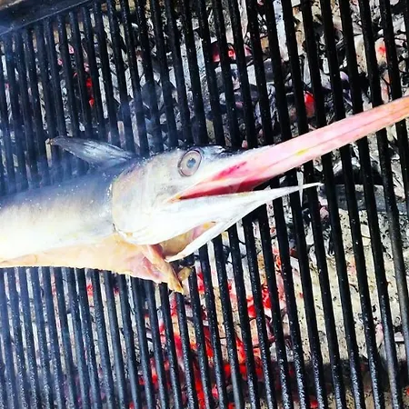 Appartement Seasons 3 Golem (Tirana)