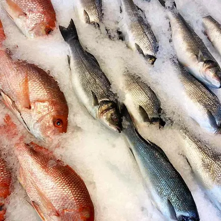 Seasons 3 * Golem (Tirana)