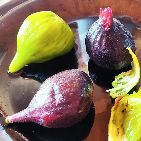 Seasons 3 Golem (Tirana)