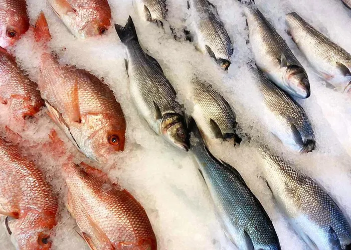 Seasons 3 * Golem (Tirana)